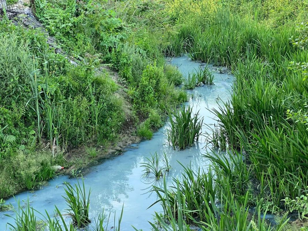 İstanbul'un o mahallesinde büyük panik! Korkunç manzarayı gören istifra etmeye başladı! 1